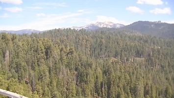 Video: From Moro Rock